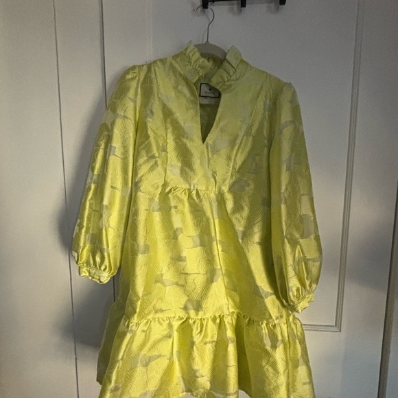 Citron Fil Coupe Palmerston Tuckernuck Jacquard Dress - Picture 2 of 9